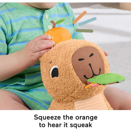 Fisher-Price Hebká desiata pre kapybaru